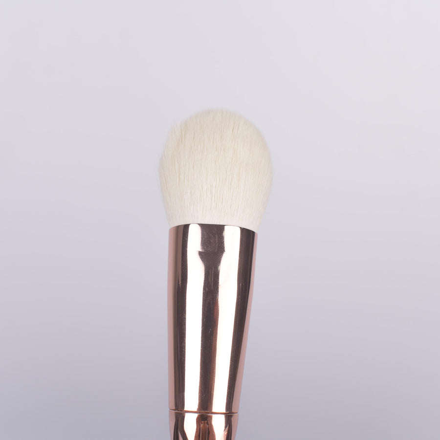 Kit de Brochas Profesional